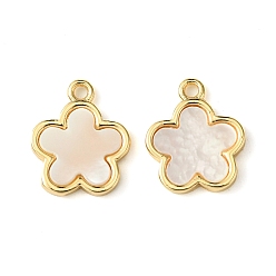 Flower Brass Pave Shell Charms, Real 18K Gold Plated, Flower, 12x10x3mm, Hole: 1.2mm