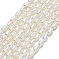 Lin Brins de perles de culture d'eau douce naturelles, riz, linge, 4.5~5x2.5~3mm, Trou: 0.5mm, Environ 83~88 pcs/chapelet, 14.57'' (37 cm)