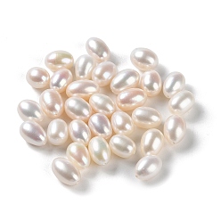 WhiteSmoke Natural Cultured Freshwater Pearl Beads, Half Drilled, Rice, Grade 5A+, WhiteSmoke, 10~12x7~8mm, Hole: 0.9mm