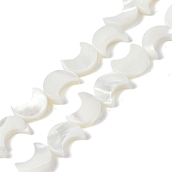 White Natural Trochid Shell/Trochus Shell Beads Strands, Crescent Moon, Bleached, White, 10x8x3mm, Hole: 0.8mm, about 39pcs/strand, 15.12 inch(38.4cm)