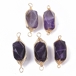 Amethyst Natural Amethyst Links connectors, Brass Wire Wrapped Links, Faceted, Column, Golden, 22.5~32x9~12x8~9mm, Hole: 1.2mm