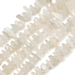 White Moonstone Natürlichen weißen Mondstein Perlen Stränge, Nuggets, 7.5~13x6~13x2~5 mm, Bohrung: 0.9 mm, ca. 68~86 Stk. / Strang, 15.35~15.75'' (39~40 cm)