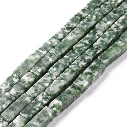 Камень с Зелеными Точками Натуральные зеленые пятна яшмовых нитей, кубоид, 12~14x4x4 мм, отверстие : 1.2 мм, около 29 шт / нитка, 15.12'' (38.4 см)