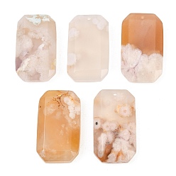 Вишневый агат Подвески из натурального вишневого цвета, граненые прямоугольные подвески, 34~35.5x19~20.5x7~8 мм, отверстие : 1.6 мм