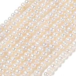 Beige Natürliche kultivierte Süßwasserperlenperlenstränge, Note 2a++, Kartoffel, beige, 2.8~3.2 mm, Bohrung: 0.3 mm, ca. 118~120 Stk. / Strang, 14.17'' (36 cm)