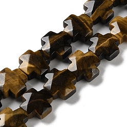 Tiger Eye Natural Tiger Eye Beads Strands, Faceted, Cross, 12~13x12~12.5x5~6mm, Hole: 1.4mm, about 17pcs/strand, 8.27 inch(21cm)
