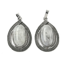Лабрадорита Природные подвески лабрадорита, подвески из сплава, без свинца и без кадмия, старинное серебро и платина, 30x20.5x7 мм, отверстие : 7x4 мм