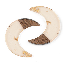 Прозрачный Подвески из прозрачной смолы и ореха, золотой фольгой, луна, прозрачные, 28x22x3 мм, отверстие : 2 мм