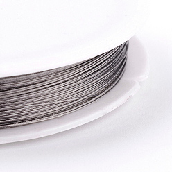 Raw Fil de queue de couleur d'origine (brut), acier inoxydable revêtu de nylon, cru, 0.35 mm de diamètre, environ 164.04 pieds (50 m)/rouleau