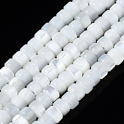 Seashell Color Natural Trochid Shell/Trochus Shell Beads Strands, Bleach, Column, Seashell Color, 3x2mm, Hole: 0.8mm, about 190~193pcs/strand, 15.75 inch(40cm)