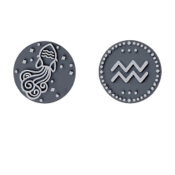 Aquarius Twelve Twelve Constellations Food Grade Eco-Friendly Silicone Focal Beads, Aquarius, 25mm
