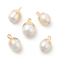Light Gold Natural Pearl Pendants, Oval Charms, with Brass Loops, White, Light Gold, 13~16x8~10x8~10mm, Hole: 1.8mm