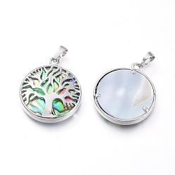Platinum Natural Abalone Shell/Paua Shell Pendants, with Brass Findings, Flat Round with Tree of Life, Platinum, 31.5x27.5x6mm, Hole: 4.5x7mm