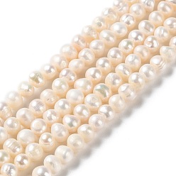 PapayaWhip Natural Cultured Freshwater Pearl Beads Strands, Potato, Grade A, PapayaWhip, 6~7x5~6mm, Hole: 0.6mm, about 61pcs/strand, 13.86~13.98 inch(35.2~35.5cm)