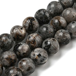 Dark Gray Natural Larvikite Beads Strands, Dyed, Round, Dark Gray, 8~8.5mm, Hole: 1mm, about 47~49pcs/strand, 14.5 inch~14.9 inch(37~38cm)