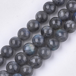 Labradorite Natural Labradorite Beads Strands, Grade AB+, Round, 6mm, Hole: 0.8mm, about 62~65pcs/strand, 15.3 inch