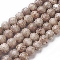 Fossil Coral Natural Fossil Coral Beads Strands, Round, 8~8.5mm, Hole: 1mm, about 47pcs/strand, 14.9 inch(38cm)
