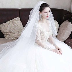 White Long Mesh Tulle Bridal Veils with Combs, for Women Wedding Party Decorations, White, 1500mm