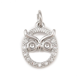 Платина Латунные микро проложить кубического циркония подвески, сова прелести, без кадмия и без свинца, стойки покрытие, долговечный, с целью перехода в кольце, платина, 14x10.5x1.8 мм, отверстие : 3.4 мм