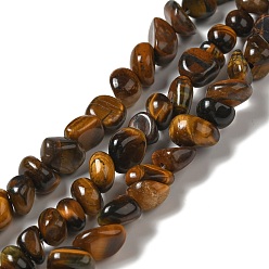 Tiger Eye Natural Tiger Eye Beads Strands, Tumbled Stone, Nuggets, 8~14x7~12x5~8mm, Hole: 1.4mm, about 50pcs/strand, 15.35''(39cm)