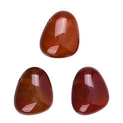 Красный Агат Подвески из синтетического сердолика, окрашенная и подогревом, грушевые обереги, 23~23.5x28.5~29x12~13 мм, отверстие : 2.5 мм