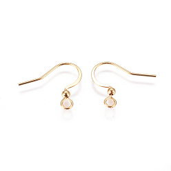 Golden 304 Stainless Steel French Earring Hooks, Flat Earring Hooks, with Horizontal Loop, Golden, 16x18~20x2.5mm, Hole: 2mm, 22 Gauge, Pin: 0.6mm