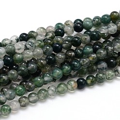 Moss Agate Natural Gemstone Round Bead Strands, Moss Agate, 6mm, Hole: 1mm, about 64pcs/strand, 16 inch