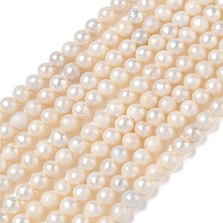Beige Natural Cultured Freshwater Pearl Beads Strands, Grade A+, Potato, Beige, 3.5~4mm, Hole: 0.5mm, about 93~94pcs/strand, 13.78''(35cm)