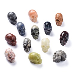 Mixed Stone Halloween Natural Gemstone Home Decorations, Skull, 38~38.5x32~32.5x49~50mm