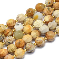Fossil Coral Natural Fossil Coral Beads Strands, Round, Faceted, 9~10mm, Hole: 1.4mm, about 34pcs/Strand, 15.16 inch(38.5cm)