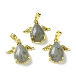 Лабрадорита Природные подвески лабрадорита, подвески-слезинки с золотистыми латунными крыльями, стойки покрытие, без кадмия и без свинца, 22.5x24.5x9 мм, отверстие : 7.5x4.5 мм