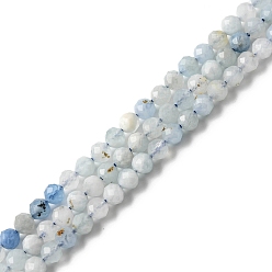 Aquamarine Natural Aquamarine Beads Strands, Faceted, Round, 4mm, Hole: 0.2mm, about 97~99pcs/strand, 15.04''~15.31''(38.2~38.9cm)