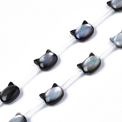 Black Lip Shell Natural Black Lip Shell Beads Strands, Cat, 8x10x3~4mm, Hole: 0.5~0.6mm, about 20pcs/strand, 16.30 inch~17.52 inch(41.4cm~44.5cm)