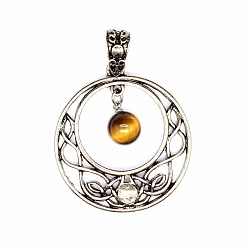 Тигровый глаз Природных тигровый глаз подвески, плоско-круглые, 35x31 мм