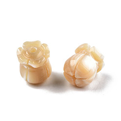 Trochus Shell Natural Trochid Shell/Trochus Shell Beads, Flower, 9.5~10x8x8mm, Hole: 1mm