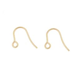 Настоящее золото 24K 316 хирургические крючки для серег из нержавеющей стали, провод уха, с горизонтальной петлей, реальный 24 k позолоченный, 15x12x0.7 мм, отверстие : 2 мм
