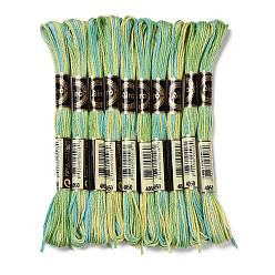 Lime Green 10 Skeins 6-Ply Polyester Embroidery Floss, Cross Stitch Threads, Segment Dyed, Lime Green, 0.5mm, about 8.75 Yards(8m)/skein