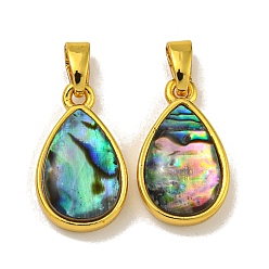 Золотой Покрытие стойки, латунные подвески из натуральных ракушек паве, паве, слезинки, золотые, 16x9.5x4 мм, отверстие : 5 мм