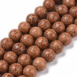 Кокосово-Коричневый Натуральные кокосовые древесные бисерные пряди, круглые, кокосового коричневый, 13.5x13.5 мм, отверстие : 3 мм