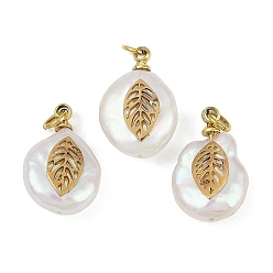 Лист Натуральные кеши жемчужные подвески, подвески-слезинки с 316 ломтиками из нержавеющей стали, ионное покрытие (ip), реальный 18 k позолоченный, цветочный белый, лист, 15~18x10~12x6~7 мм, отверстие : 2.8 мм