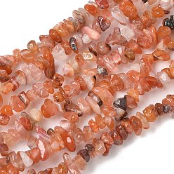 Красный Агат Природного сердолика нитей бисера, чип, 1.5~4.5x3~13x2.5~8 мм, отверстие : 0.6 мм, 30.94~31.97 дюйм (78.6~81.2 см)