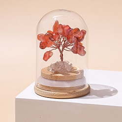 Red Agate Natural Red Agate Chips Tree of Life Decorations, Mini Wooden & Glass Base with Copper Wire Feng Shui Energy Stone Gift for Home Office Desktop Decoration, 52x77mm