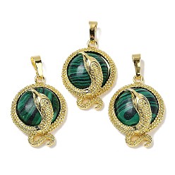 Малахит Синтетический малахит плоские круглые латунные подвески, стойки покрытие, без кадмия и без свинца, золотые, 29.5x21.5x9.5~11 мм, отверстие : 7.5x4.5 мм