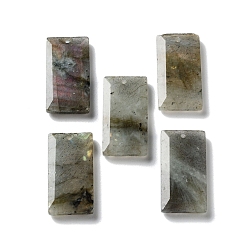 Labradorite Natural Labradorite Pendants, Faceted Rectangle Charms, 25x13x4~4.5mm, Hole: 1mm