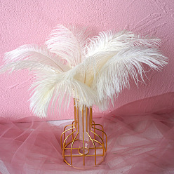 White Ostrich Feather Ornament Accessories, for DIY Costume, Hair Accessories, Backdrop Craft, White, 200~250mm