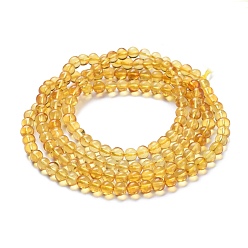 Amber Natural Amber Beads Strands, Round, 5~5.5mm, Hole: 0.5mm, about 159pcs/Strand, 30.31 inch(77cm)