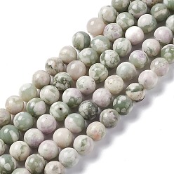 Peace Jade Natural Peace Jade Beads Strands, Round, 6mm, Hole: 1mm, about 59~60pcs/strand, 15.16~15.35 inch(38.5~39cm)