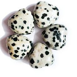 Dalmatian Jasper Natural Dalmatian Jasper Healing Stones, Heart Love Stones, Pocket Palm Stones for Reiki Ealancing, 15x15x10mm