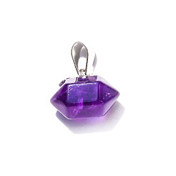 Amethyst Natural Amethyst Double Terminal Pointed Pendants, Faceted Bullet Charms, 10x16mm