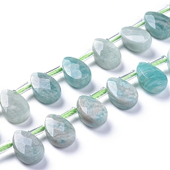 Amazonite Natural Amazonite Beads Strands, Top Drilled Beads, Faceted, Teardrop, 12~13x8.5x3~4mm, Hole: 0.6mm, about 32pcs/Strand, 15.55 inch(39.5cm)